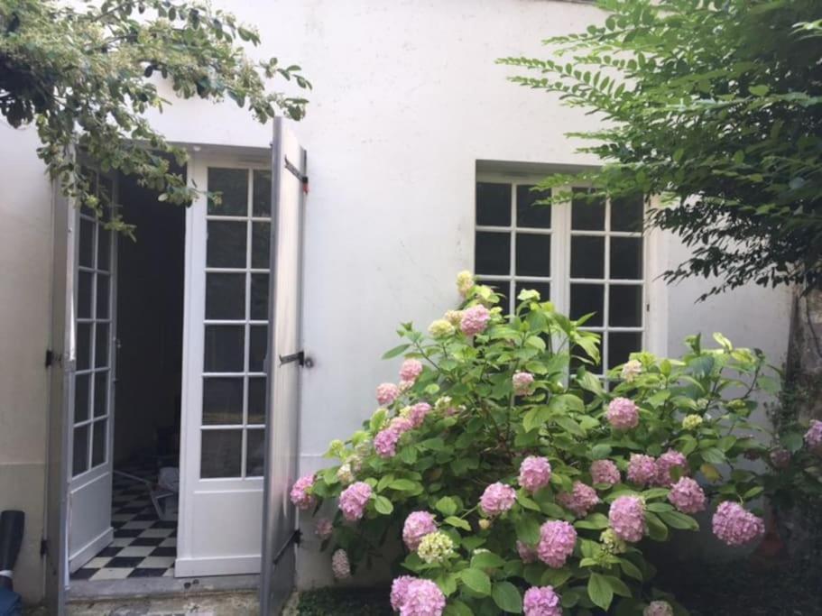 Charmante Maisonnette Jardin Triangle D'Or ボルドー エクステリア 写真